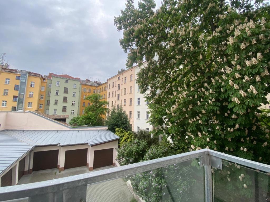 Designed Apartment Next To Vaclav Square With Terrace And Private Garage — Photos 2